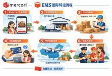 从下单到签收：煤炉EMS流程保姆级全攻略，新手一次安全下车！_樱花直邮
