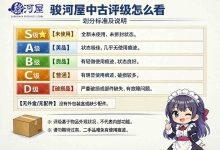 从A到D，一次讲透“骏河屋中古评级怎么看”，让你下单不再赌运气_樱花直邮