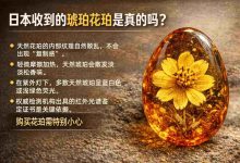 日本收到的琥珀花珀是真的吗？看证书、辨荧光，这些方法你必须知道！_樱花直邮