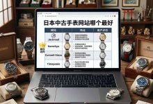 日本中古手表网站哪个最好？从Chrono24到煤炉，安全性与价格全对比_樱花直邮