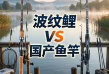 日本达亿瓦波纹鲤对比国产鱼竿！核心材料差距与海淘避坑指南_樱花直邮